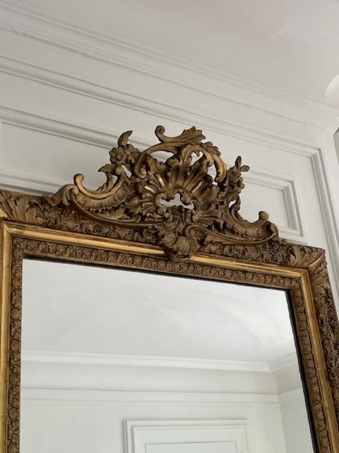 Grand Appartement D'Exception Au Chateau Randin Écully Екстериор снимка
