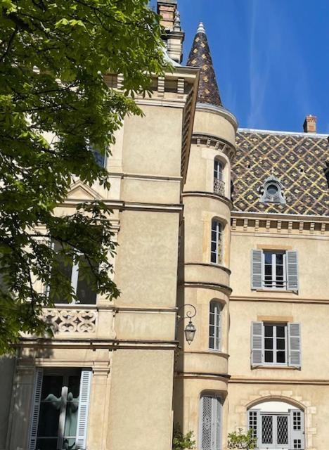 Grand Appartement D'Exception Au Chateau Randin Écully Екстериор снимка