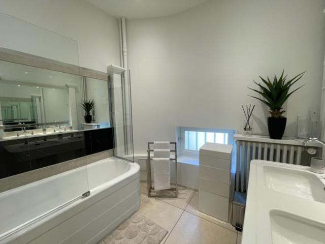 Grand Appartement D'Exception Au Chateau Randin Écully Екстериор снимка
